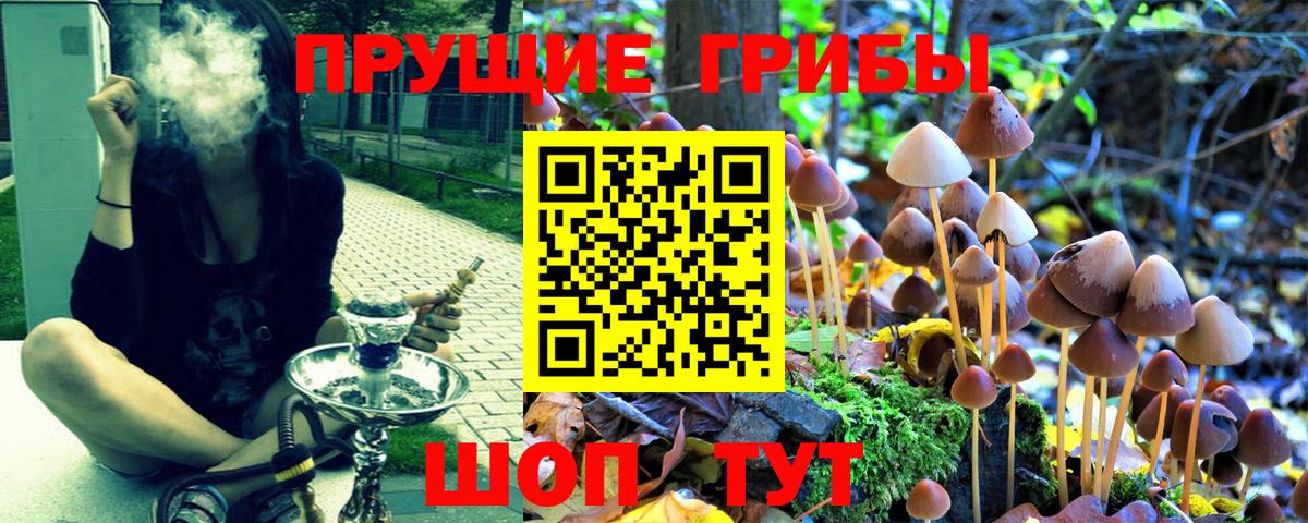 Железногорск  Псилоцибиновые грибы GOLDEN TEACHER  Вход с VPN 